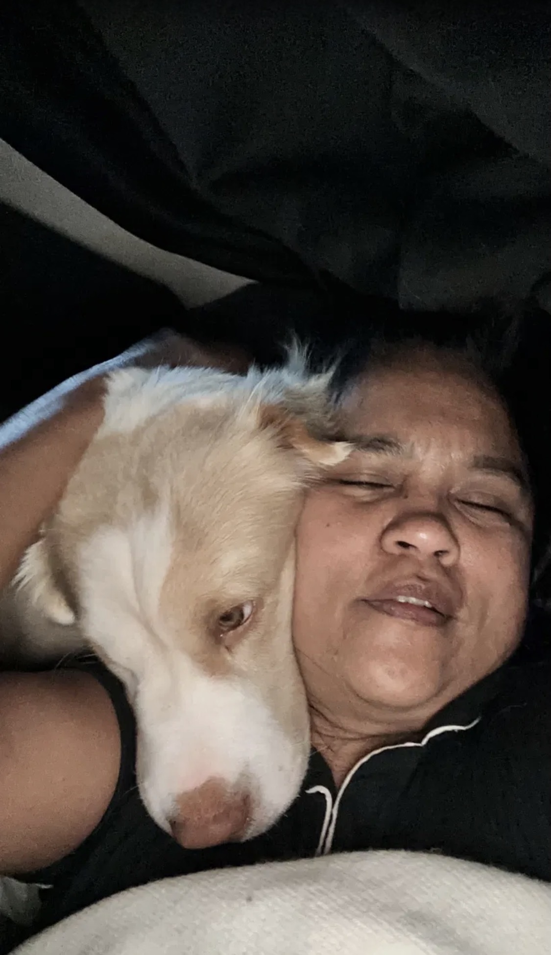 Cuddling with a white and cream puppy