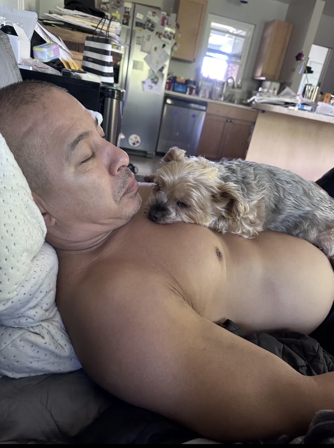 Resting with a Yorkie